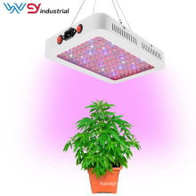 Double Switch BLOOM/VEG 600W LED Plant Grow Light